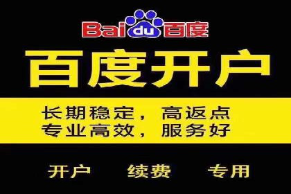 SEM竞价实战：成功案例解析